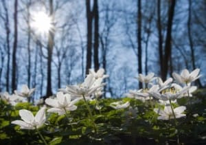 420007_416520965031024_169295863086870_86555838_1882690662_n