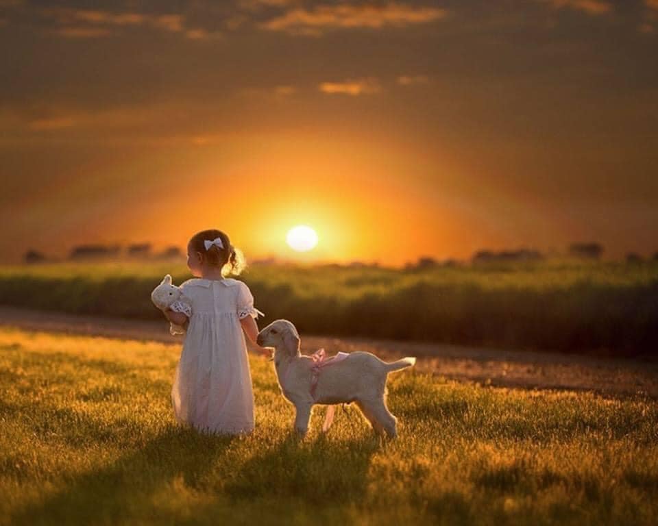 Dni wolne nauczycieli